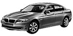 BMW F10 P2431 Fault Code